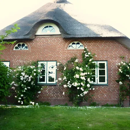 Osterdeich Hébergement de vacances Neukirchen (Nordfriesland)