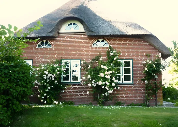 Osterdeich Dom wakacyjny Neukirchen (Nordfriesland)